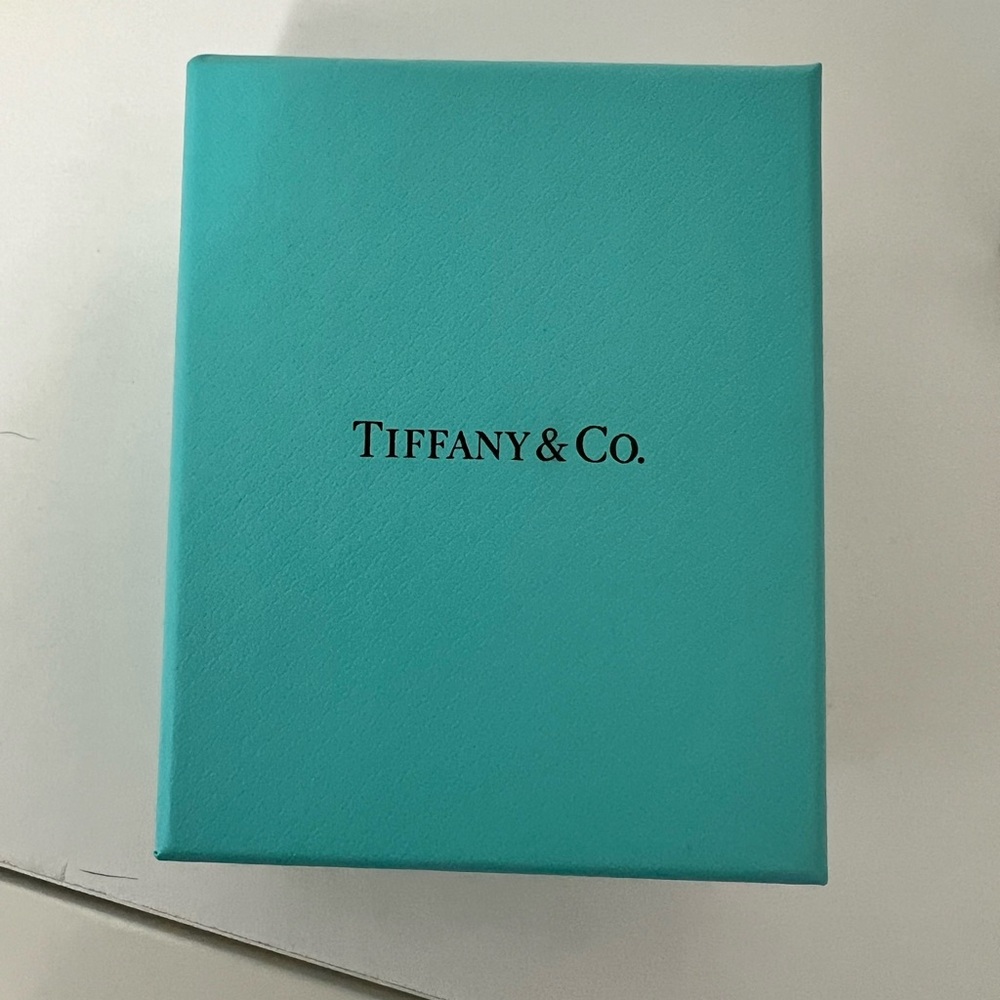 Tiffany & Co. Robin's Egg Blue Presentation Box